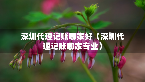 深圳代理记账哪家好（深圳代理记账哪家专业）