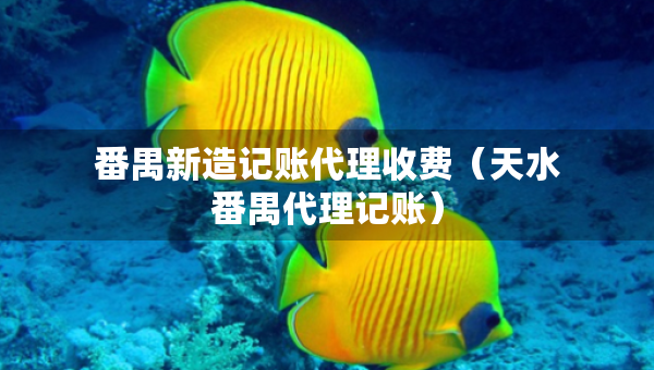 番禺新造记账代理收费（天水番禺代理记账）