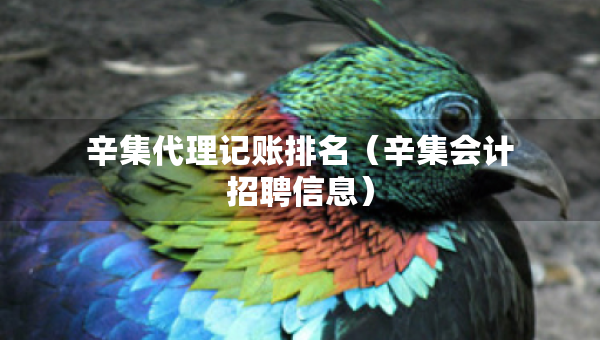 辛集代理记账排名（辛集会计招聘信息）
