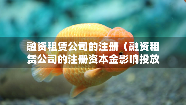 融资租赁公司的注册（融资租赁公司的注册资本金影响投放吗）
