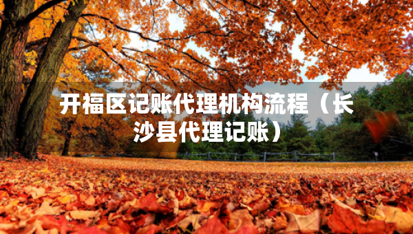 开福区记账代理机构流程（长沙县代理记账）