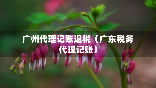 广州代理记账退税（广东税务代理记账）