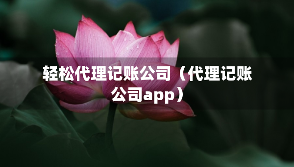 轻松代理记账公司（代理记账公司app）