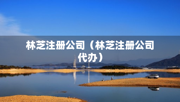 林芝注册公司（林芝注册公司代办）
