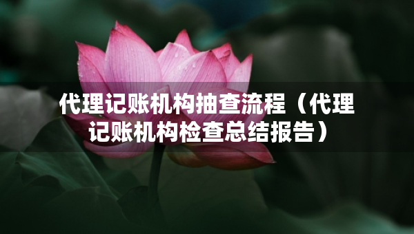 代理记账机构抽查流程（代理记账机构检查总结报告）