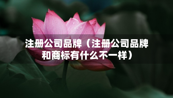 注册公司品牌（注册公司品牌和商标有什么不一样）