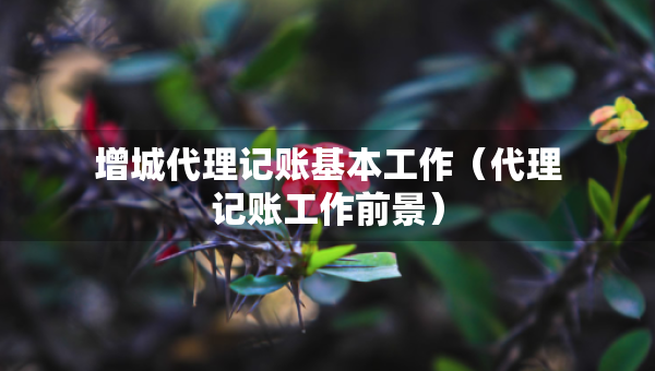 增城代理记账基本工作（代理记账工作前景）