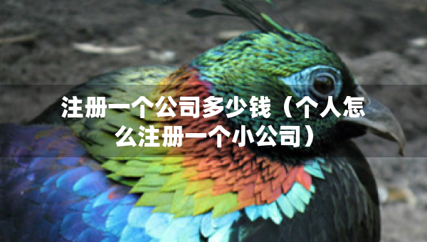 注册一个公司多少钱（个人怎么注册一个小公司）