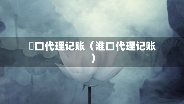 硚口代理记账（淮口代理记账）
