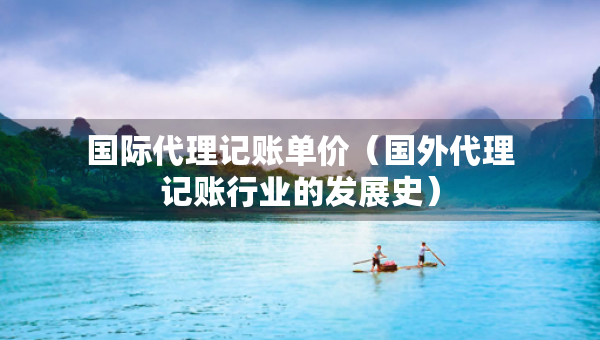 国际代理记账单价（国外代理记账行业的发展史）