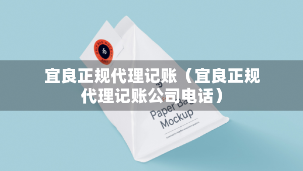 宜良正规代理记账（宜良正规代理记账公司电话）