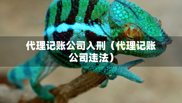 代理记账公司入刑（代理记账公司违法）