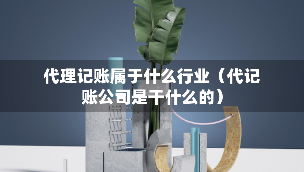 代理记账属于什么行业（代记账公司是干什么的）