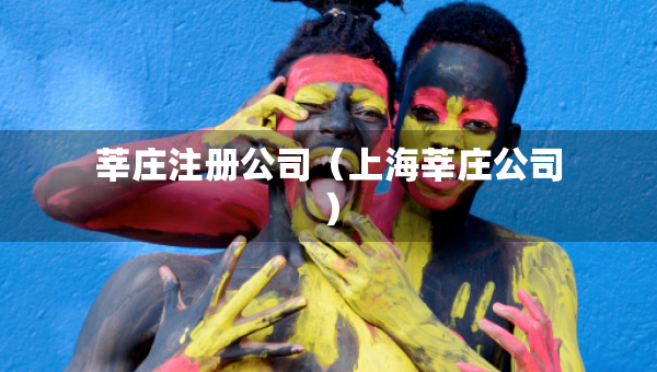 莘庄注册公司（上海莘庄公司）