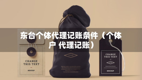 东台个体代理记账条件（个体户 代理记账）