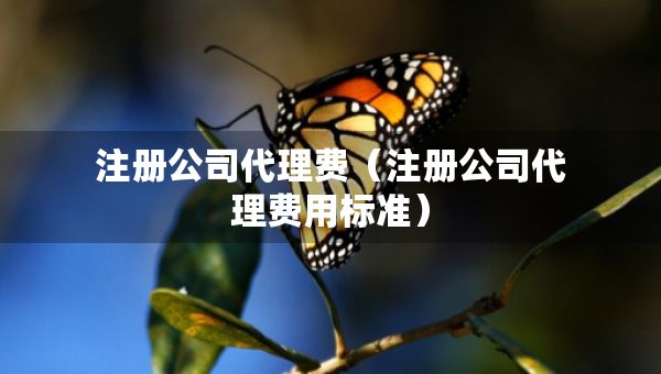 注册公司代理费（注册公司代理费用标准）