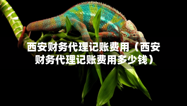西安财务代理记账费用（西安财务代理记账费用多少钱）