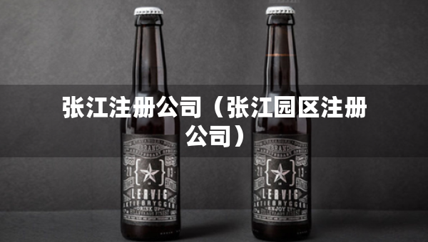 张江注册公司（张江园区注册公司）
