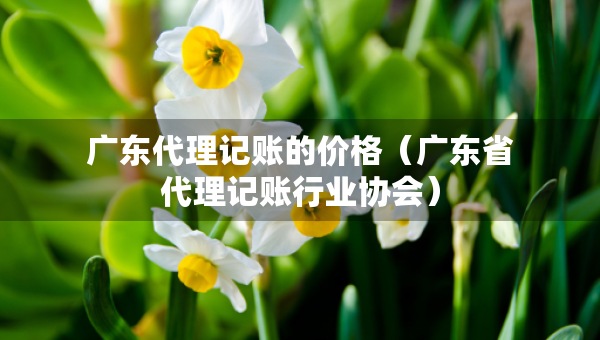 广东代理记账的价格（广东省代理记账行业协会）