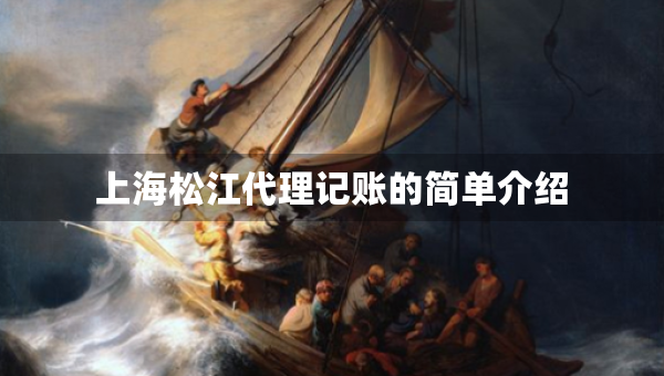 上海松江代理记账的简单介绍