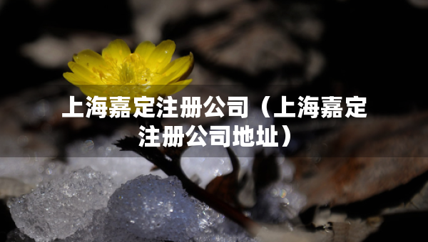 上海嘉定注册公司（上海嘉定注册公司地址）