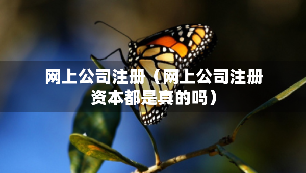网上公司注册（网上公司注册资本都是真的吗）