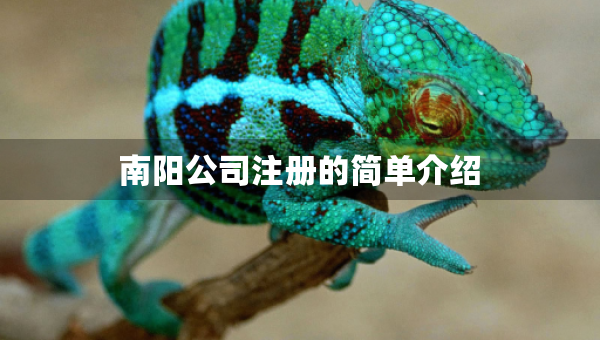 南阳公司注册的简单介绍