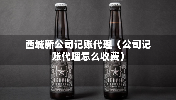 西城新公司记账代理（公司记账代理怎么收费）