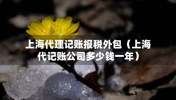 上海代理记账报税外包（上海代记账公司多少钱一年）