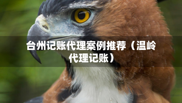 台州记账代理案例推荐（温岭代理记账）