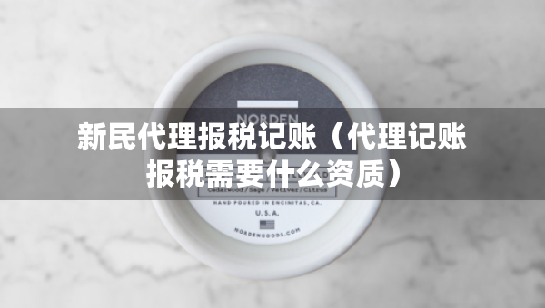 新民代理报税记账（代理记账报税需要什么资质）
