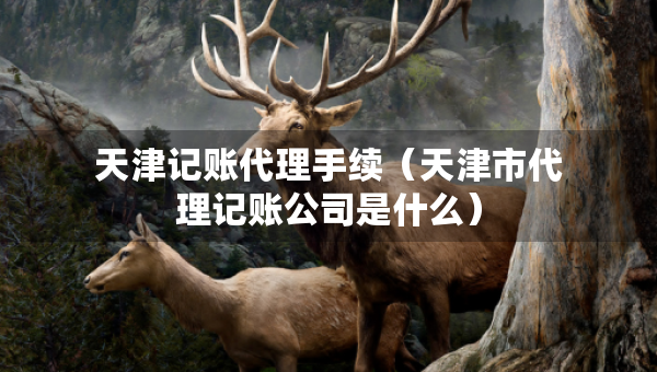 天津记账代理手续（天津市代理记账公司是什么）