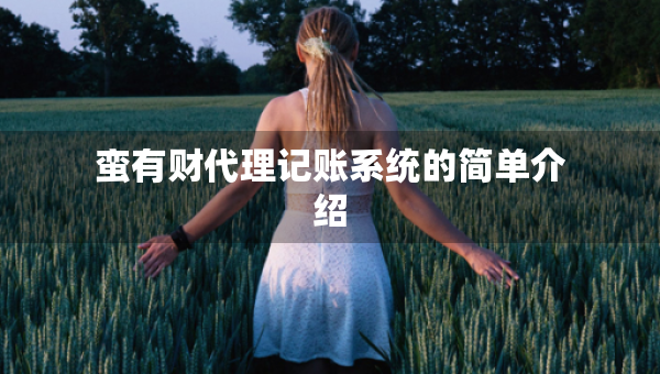 蛮有财代理记账系统的简单介绍