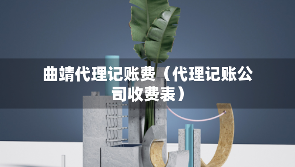 曲靖代理记账费（代理记账公司收费表）