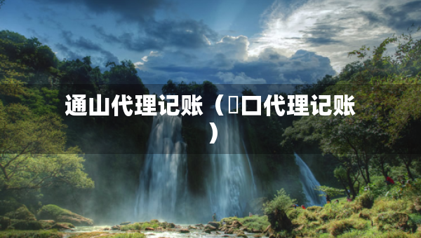 通山代理记账（硚口代理记账）