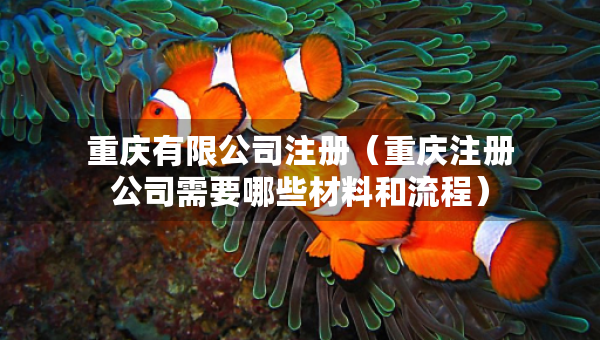重庆有限公司注册（重庆注册公司需要哪些材料和流程）