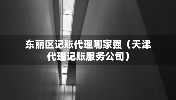 东丽区记账代理哪家强（天津代理记账服务公司）
