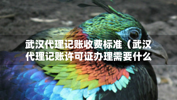 武汉代理记账收费标准（武汉代理记账许可证办理需要什么条件）