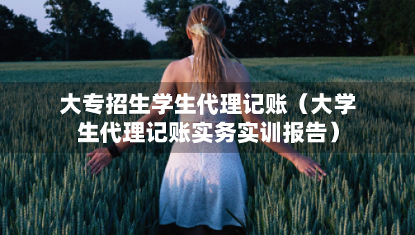 大专招生学生代理记账（大学生代理记账实务实训报告）