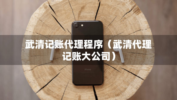 武清记账代理程序（武清代理记账大公司）