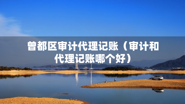 曾都区审计代理记账（审计和代理记账哪个好）