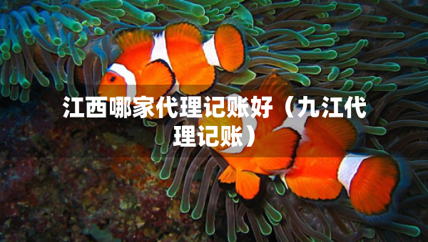 江西哪家代理记账好（九江代理记账）