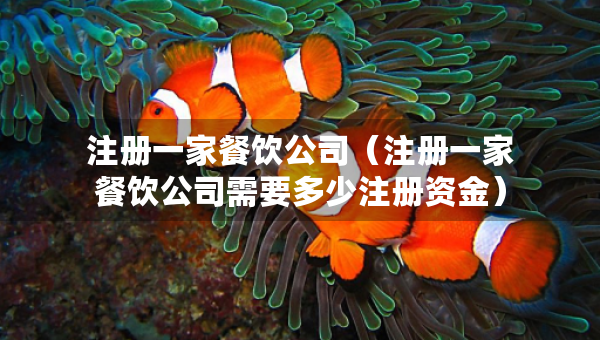注册一家餐饮公司（注册一家餐饮公司需要多少注册资金）