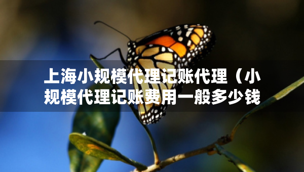 上海小规模代理记账代理(小规模代理记账费用一般多少钱一个月) 上海小规模代理记账代理(小规模代理记账费用一般多少钱一个月)