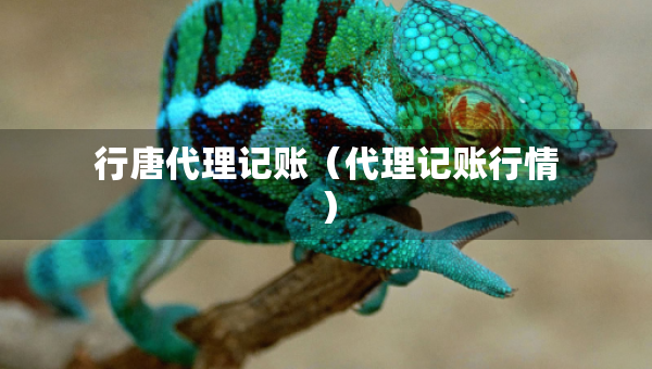 行唐代理记账（代理记账行情）