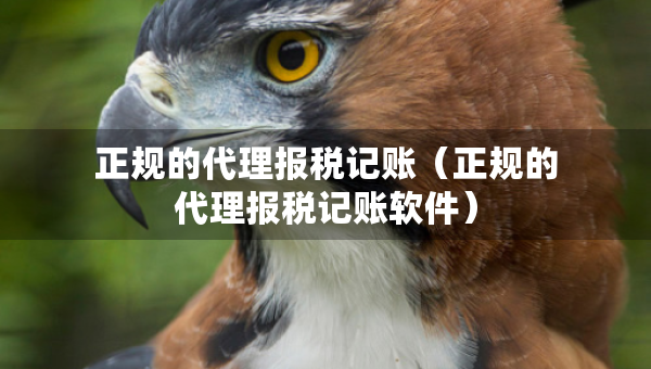 正规的代理报税记账（正规的代理报税记账软件）