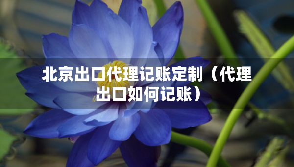 北京出口代理记账定制（代理出口如何记账）