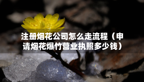 注册烟花公司怎么走流程（申请烟花爆竹营业执照多少钱）