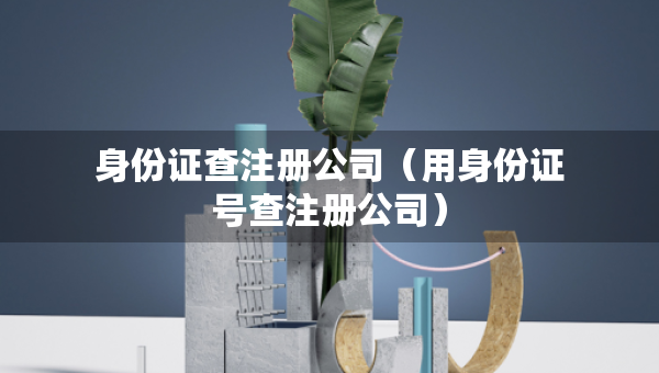 身份证查注册公司（用身份证号查注册公司）