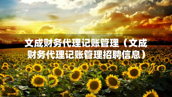 文成财务代理记账管理（文成财务代理记账管理招聘信息）